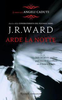 Copertina del libro Vol.2 Arde la notte. Angeli caduti