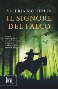 Copertina del libro Il signore del falco