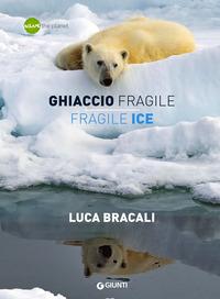 Copertina del libro Ghiaccio fragile-Fragile ice