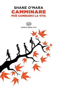 Copertina del libro Camminare puÃ² cambiarci la vita