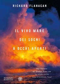 Copertina del libro Il vivo mare dei sogni a occhi aperti