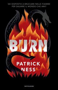 Copertina del libro Burn