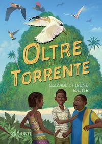 Copertina del libro Oltre il torrente