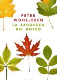 Copertina del libro La saggezza del bosco