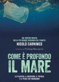 Copertina del libro Com'è profondo il mare. La plastica, il mercurio, il tritolo e il pesce che mangiamo