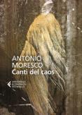 Copertina del libro Canti del caos